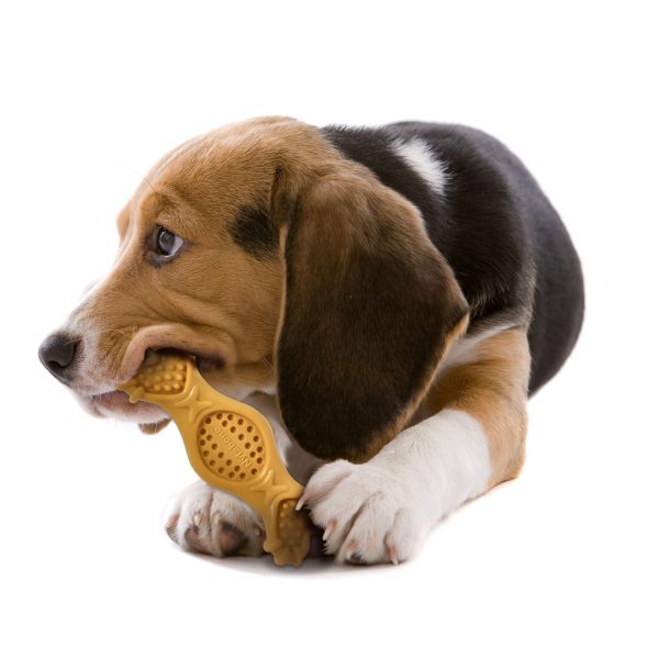 Extreme Chew Fill It Treat Toy M