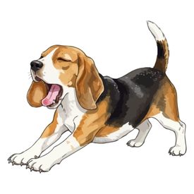 Beat the boredom Satisfy your pups natural urge to chew and keep them busy with something tasty and long lasting to chew on