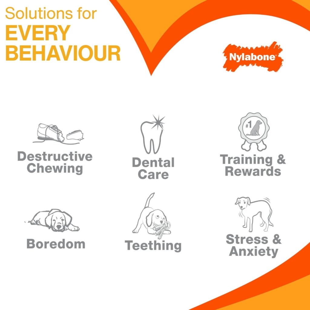 graphic showing how a puppy chewing Nylabone can help towards encouraging positive behaviour