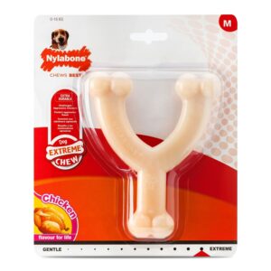 Nylabone chicken wishbone easy hold dog chew toy in packaging