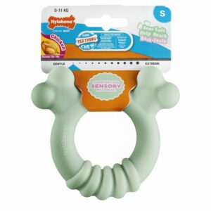 Nylabone Puppy Tactile Ring Soothing Sensory Puppy Chew Toy in packaging