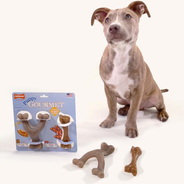 Puppy Gourmet Tp Femur Wbone S