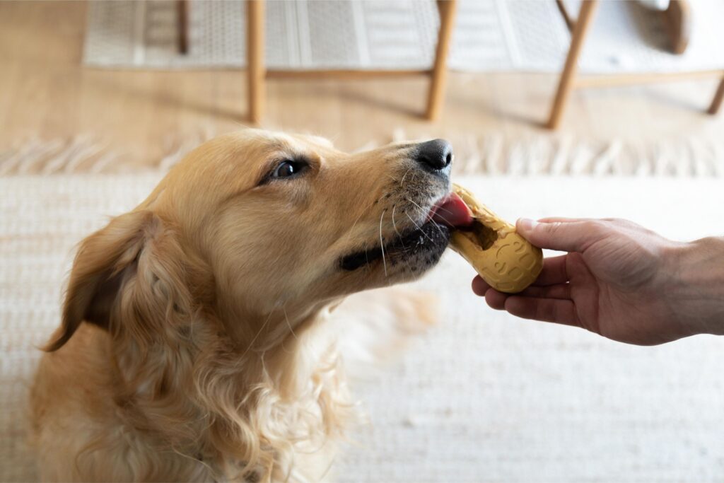 Dog Mental Stimulation Banner Article Image Dog licking dog-safe peanut butter from a Nylabone chew toy