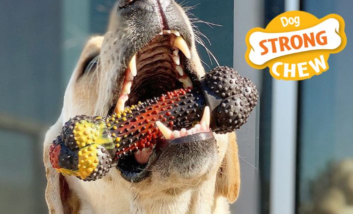 Dog chewing a strong chew with a dog strong chew icon